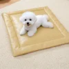 pet bed yellow