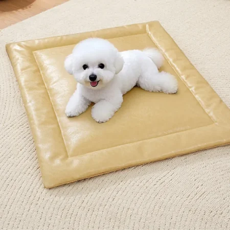 pet bed yellow