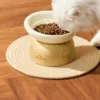 bowl 1