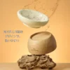 bowl2
